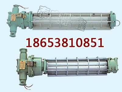 DGS12/127L(A)矿用隔