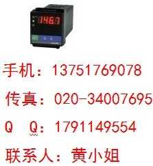 SWP-C10数字显示仪