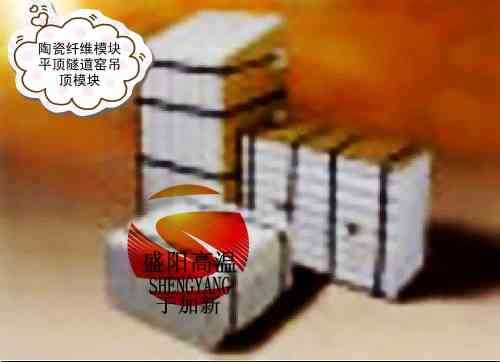 江苏一烘一烧隧道窑保温陶纤模块