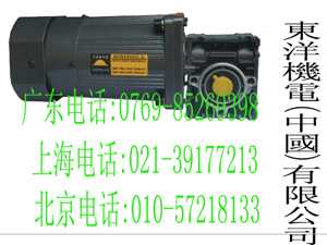 0.2KW刹车马达