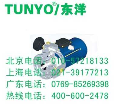 1/4HP无极变速马达