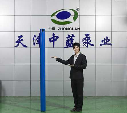 细长小流量高扬程潜水泵