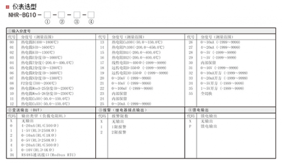 BG10仪表选型