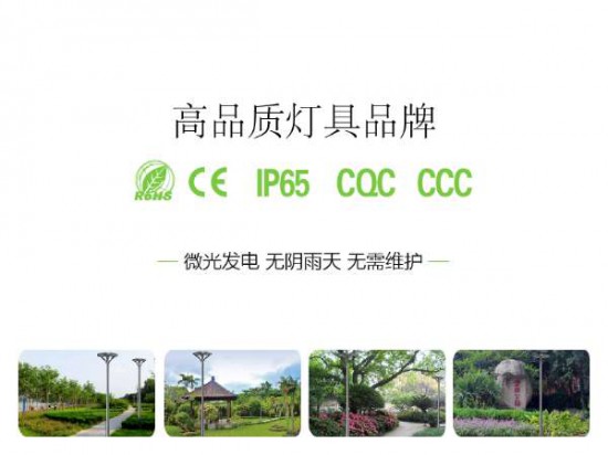 景观庭院灯30-40W(一体）-1