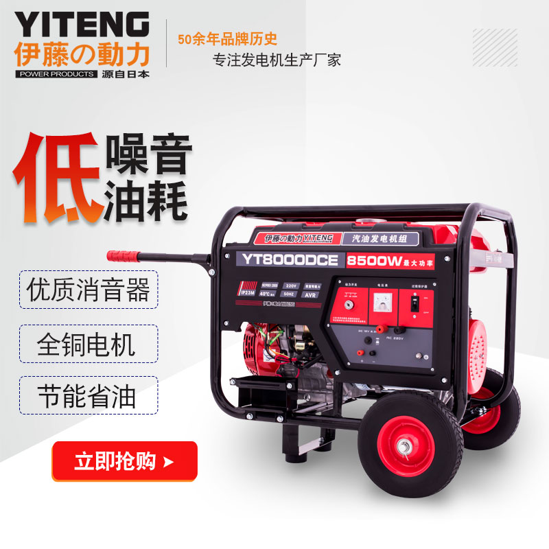 伊藤动力发电机YT8000DCE